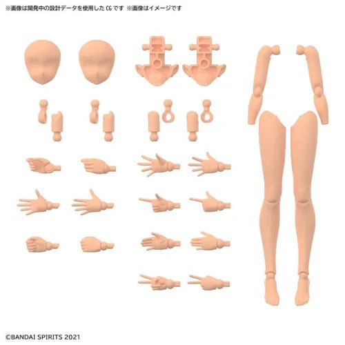 30MS OPTION BODY PARTS ARM PARTS & LEG PARTS [COLOR C]