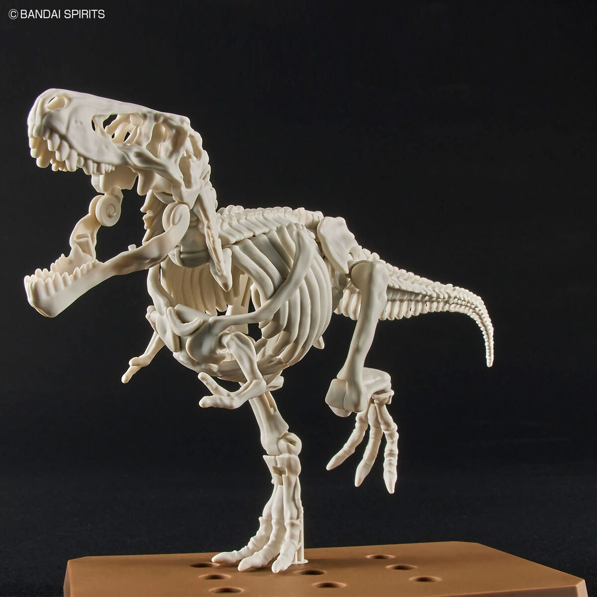 PLANNOSAURUS Model Kit Tyrannosaurus