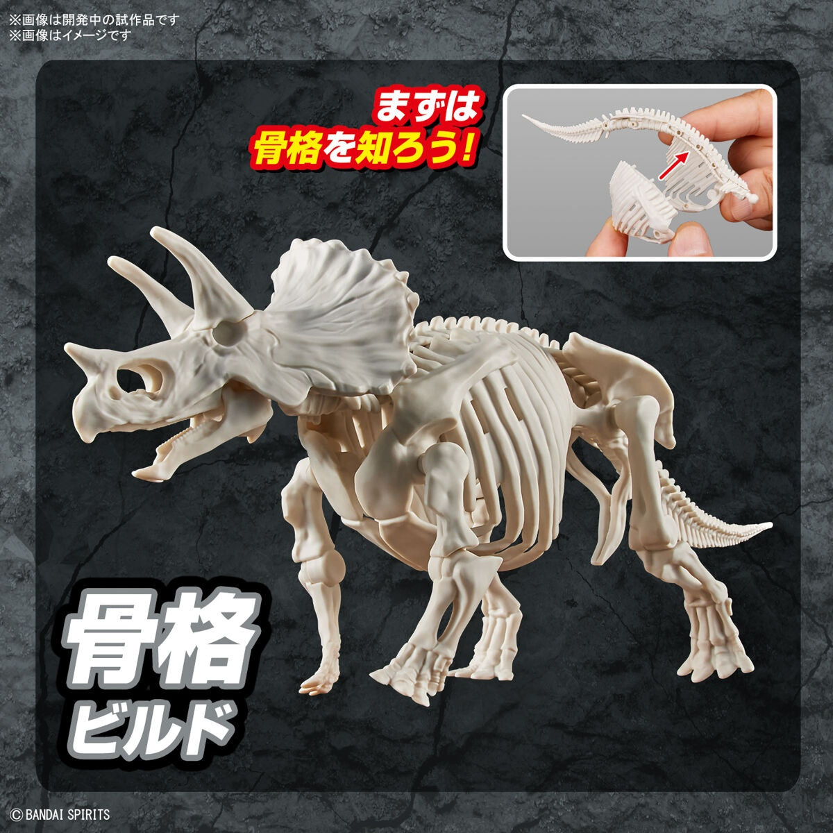 PLANNOSAURUS Model Kit Triceratops