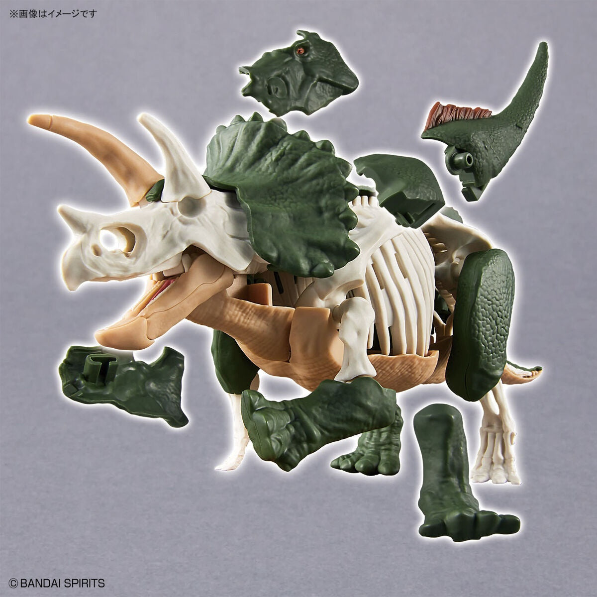 PLANNOSAURUS Model Kit Triceratops