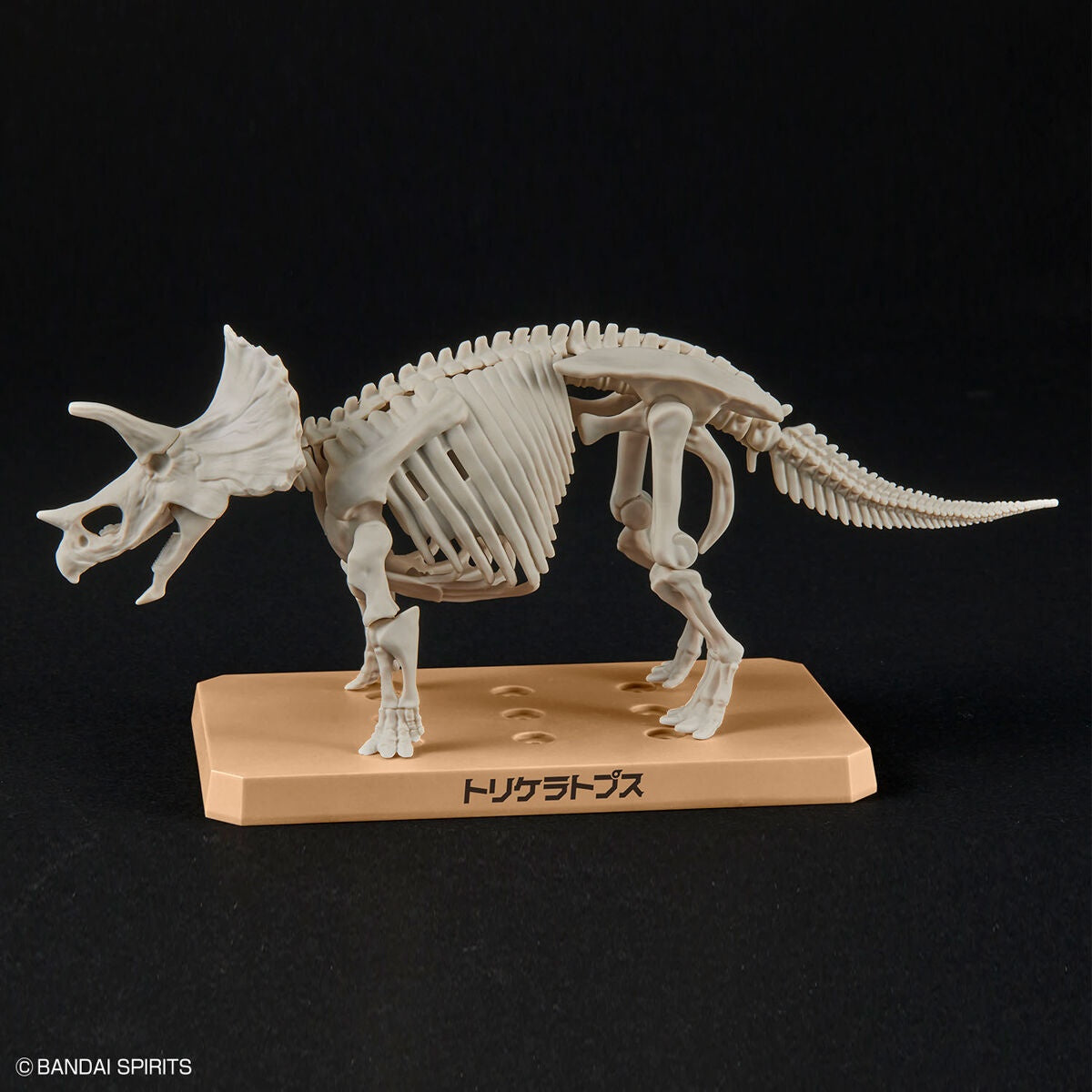 PLANNOSAURUS Model Kit Triceratops