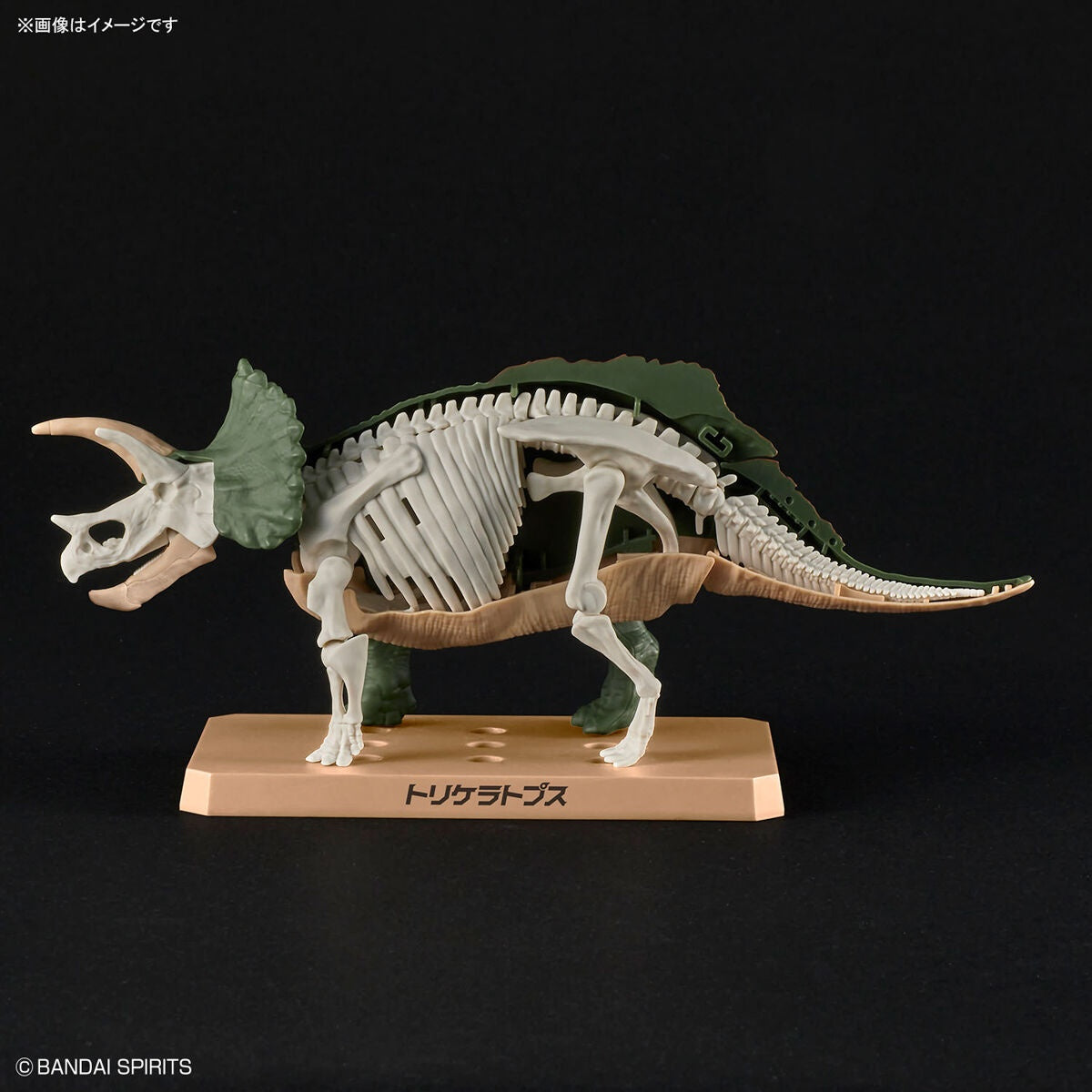 PLANNOSAURUS Model Kit Triceratops