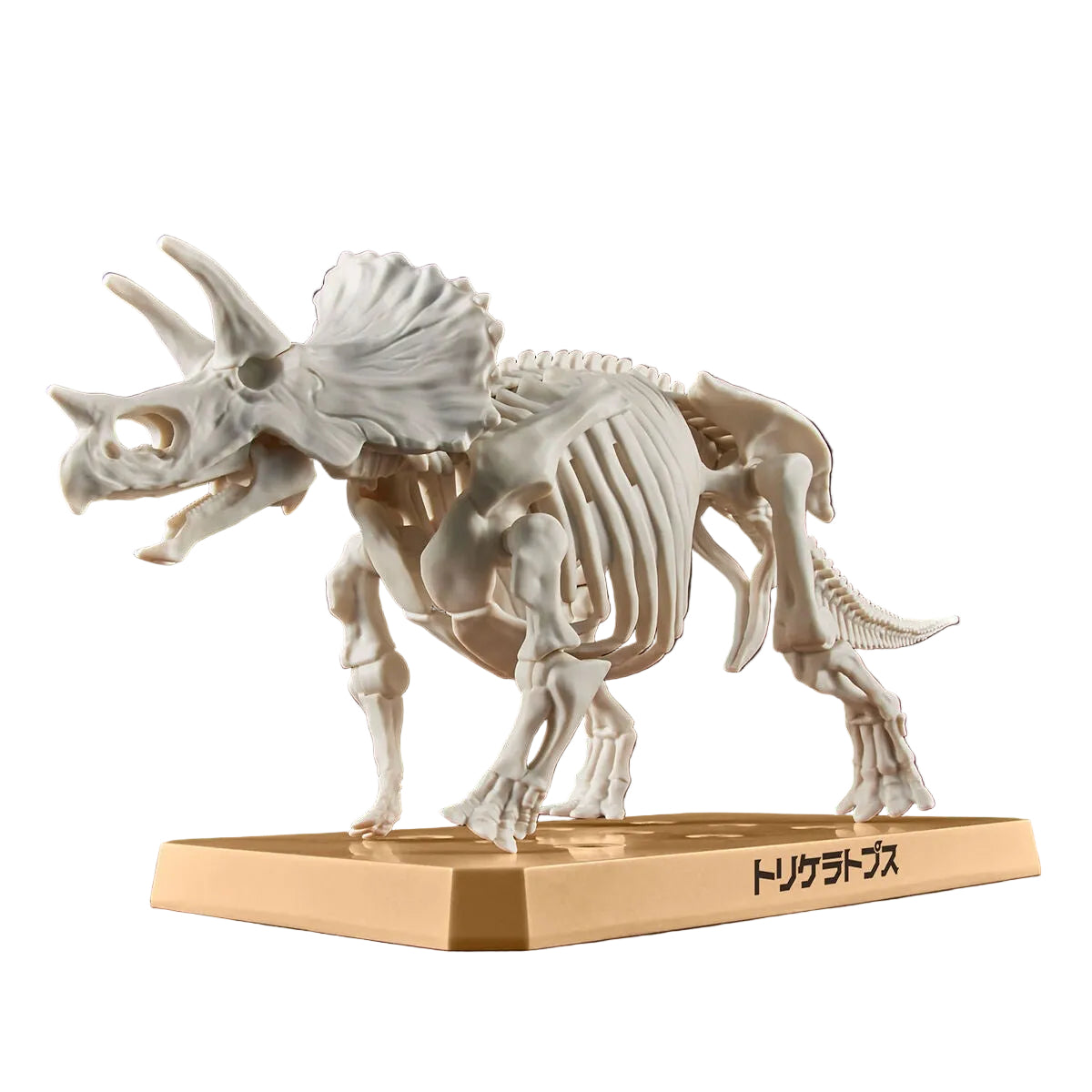 PLANNOSAURUS Triceratops