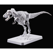 PLANNOSAURUS Tyrannosaurus Painting Ver.
