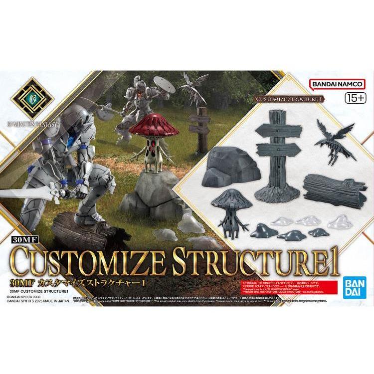 30MF CUSTOMIZE STRUCTURE1
