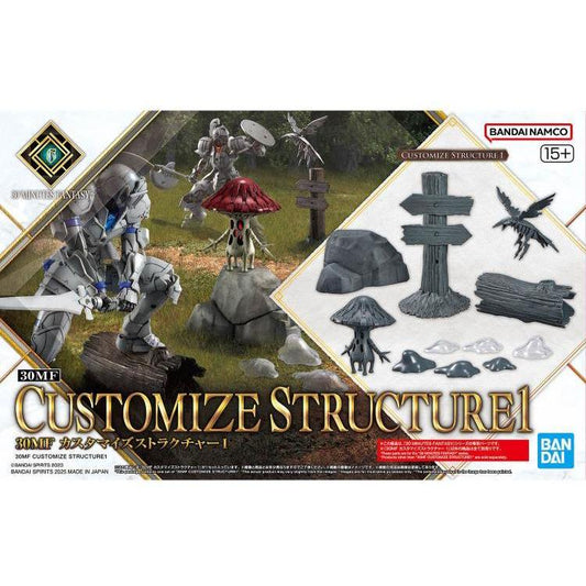 30MF CUSTOMIZE STRUCTURE1