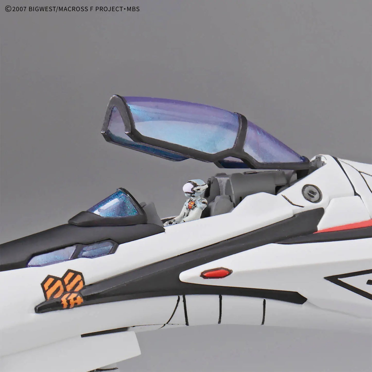 HG 1/100 VF-25F Messiah Valkyrie Alto Custom Deluxe Set
