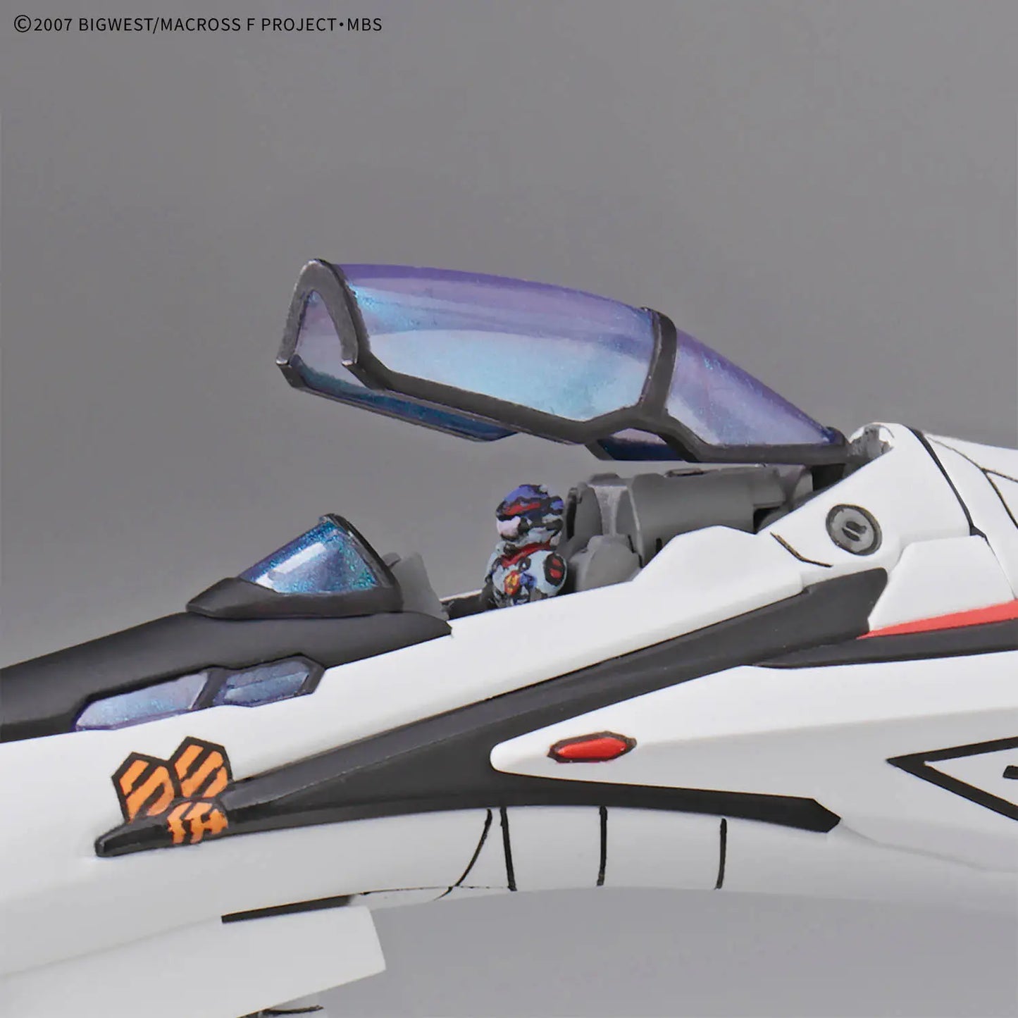 HG 1/100 VF-25F Messiah Valkyrie Alto Custom Deluxe Set