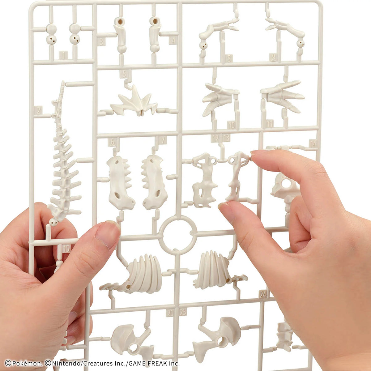 Pokemon Model Kit Fossil Pokemon Series Tyrantrum