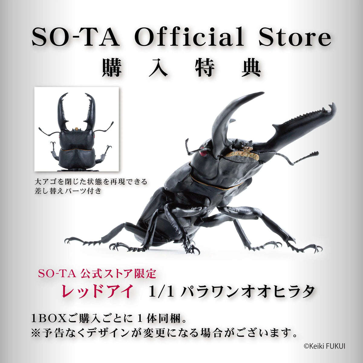 Animarie Collection 1/1 Giant Flat Stag Beetle