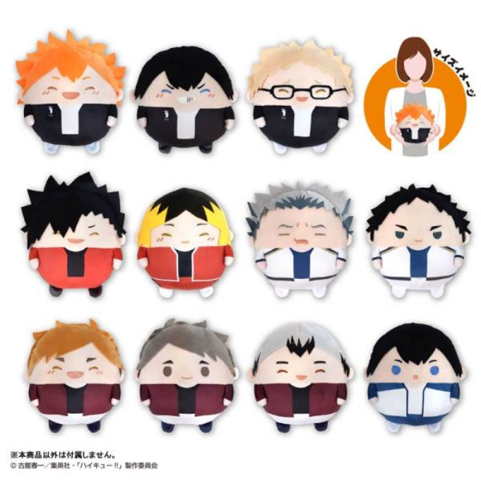 Haikyu!! Fuwa Kororin M Size Special B Tobio Kageyama