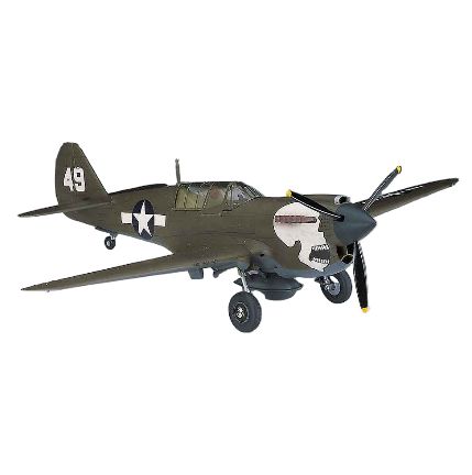 image2_1/72 P-40N WARHAWK with RAAF Decals