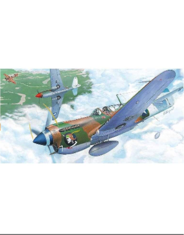 image1_1/72 P-40N WARHAWK with RAAF Decals