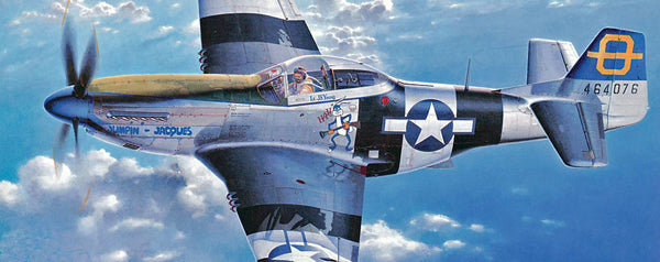 1/72 P-51D/K Mustang -Pacific Aces Combo