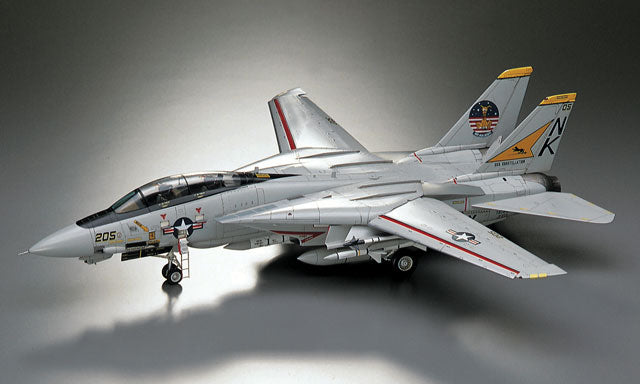 1/48 F-14A TOMCAT