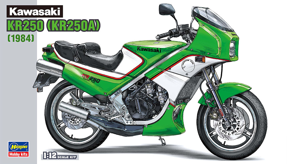 1/12 Kawasaki KR250 KR250A