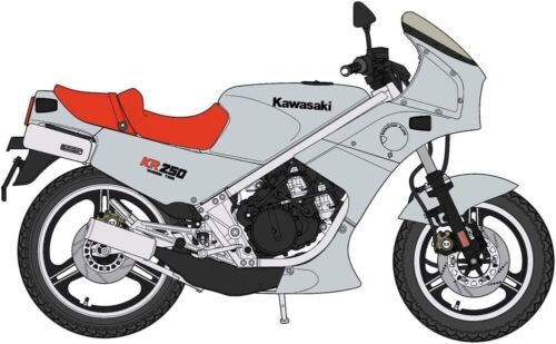 1/12 Kawasaki KR250 (KR250S) Silver Color