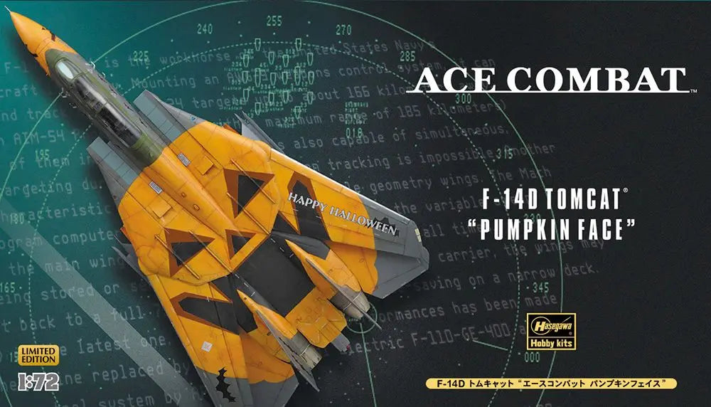 1/72 F-14D TOMCAT "ACE COMBAT PUMPKIN FACE"