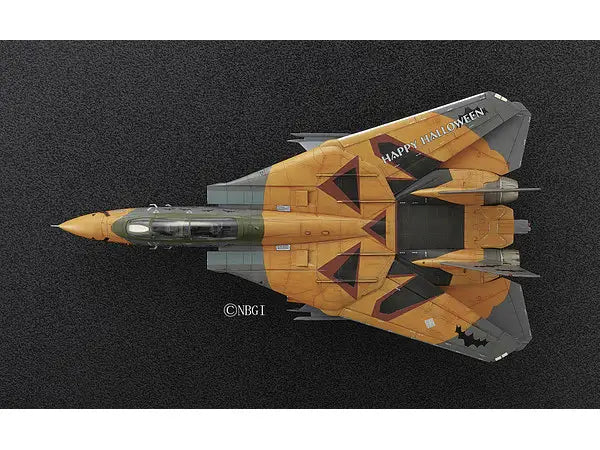 1/72 F-14D TOMCAT "ACE COMBAT PUMPKIN FACE"