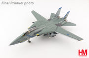 1/72 F-14B Tomcat "OEF" 163220 VF-143 "Pukin Dogs" 2002