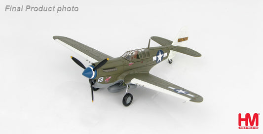 1/72 P-40N 2105202 Rita/Orchid 13 1943