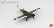 1/72 P-40N "Angry Bee" BU-O flown by Lt. Ken Goldring 80 Squadron RAAF Nov 1944