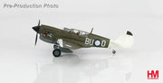 1/72 P-40N "Angry Bee" BU-O flown by Lt. Ken Goldring 80 Squadron RAAF Nov 1944