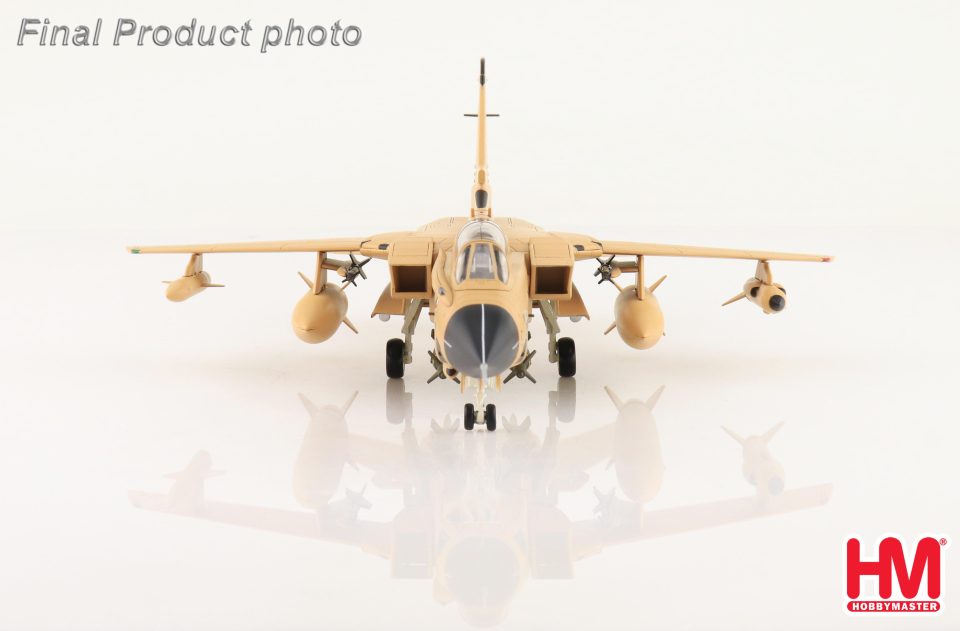 1/72 Tornado GR.1 Debbie ZD790 31 Sqn Bahrain 1991 Operation Granby