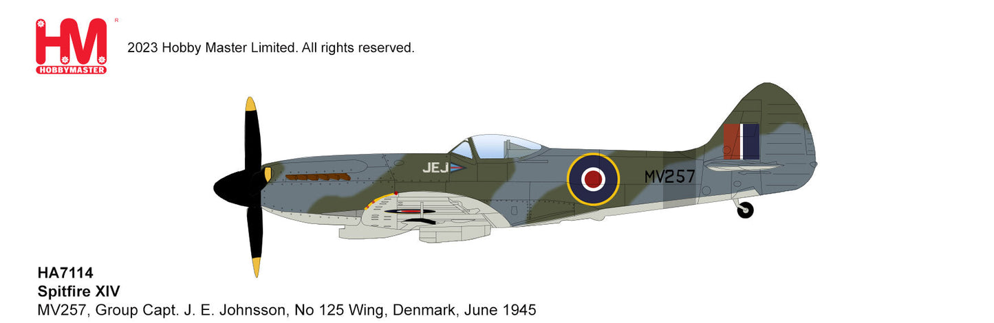 1/48 Spitfire XIV MV257 Group Capt. J. E. Johnsson No 125 Wing Denmark June 1945