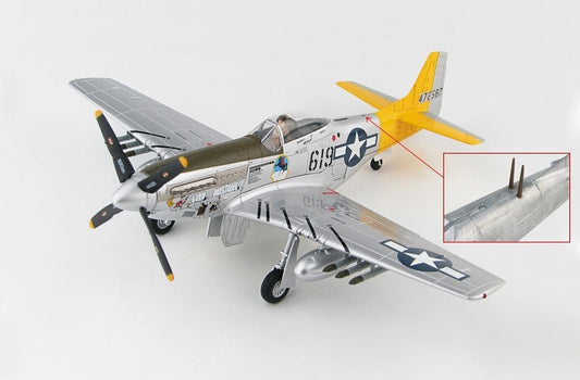 1/48 P-51D Mustang  - Hon Mistake -   Iwo Jima 1945 1st Lt. William G. Ebersole 462th FS 506th FG