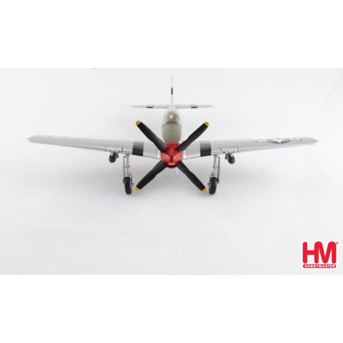 1/48 P-51D Mustang 335 FS/4 FG "Captain Ted Lines"