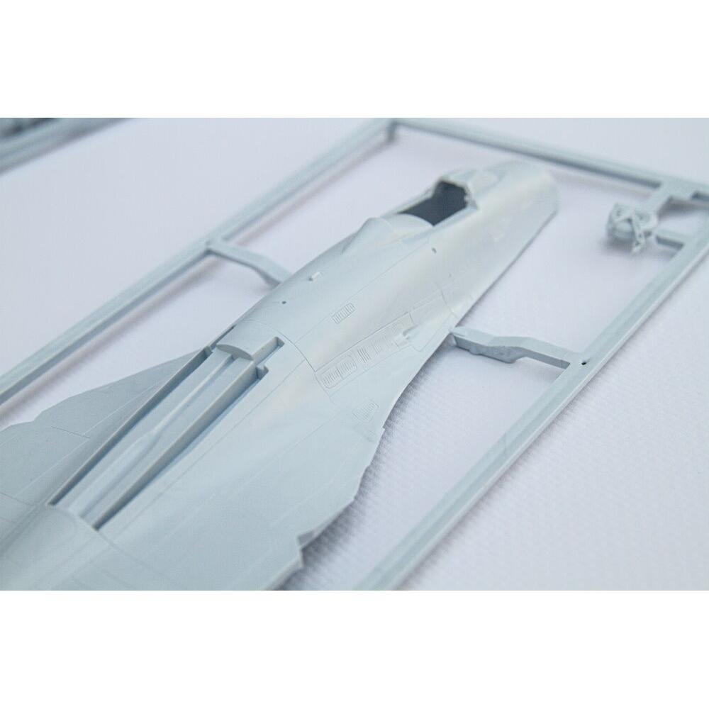 1/72 GIFT SET SU-27 UB/P Ukraine (Includes: Cement, Brush and Main Paints)