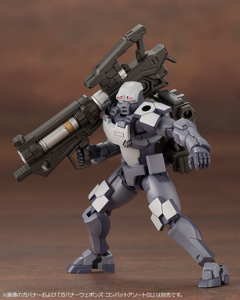 Governor Weapons Combat Assort 02