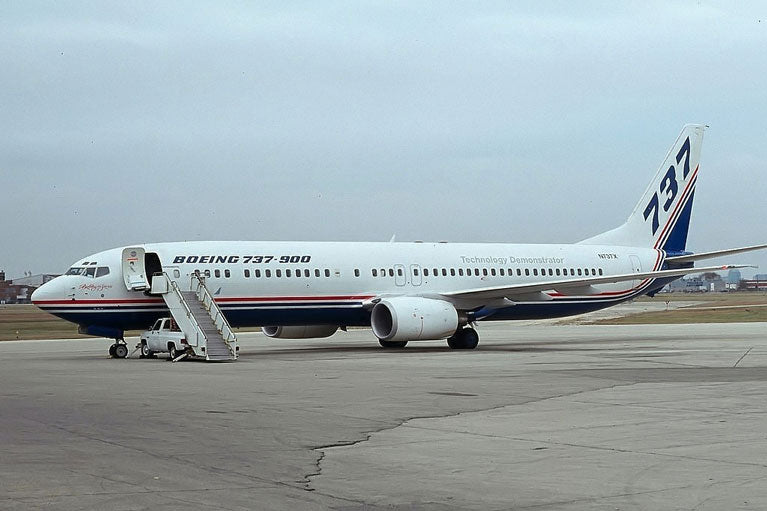 House Color B737-900 N737X (Flaps Down)