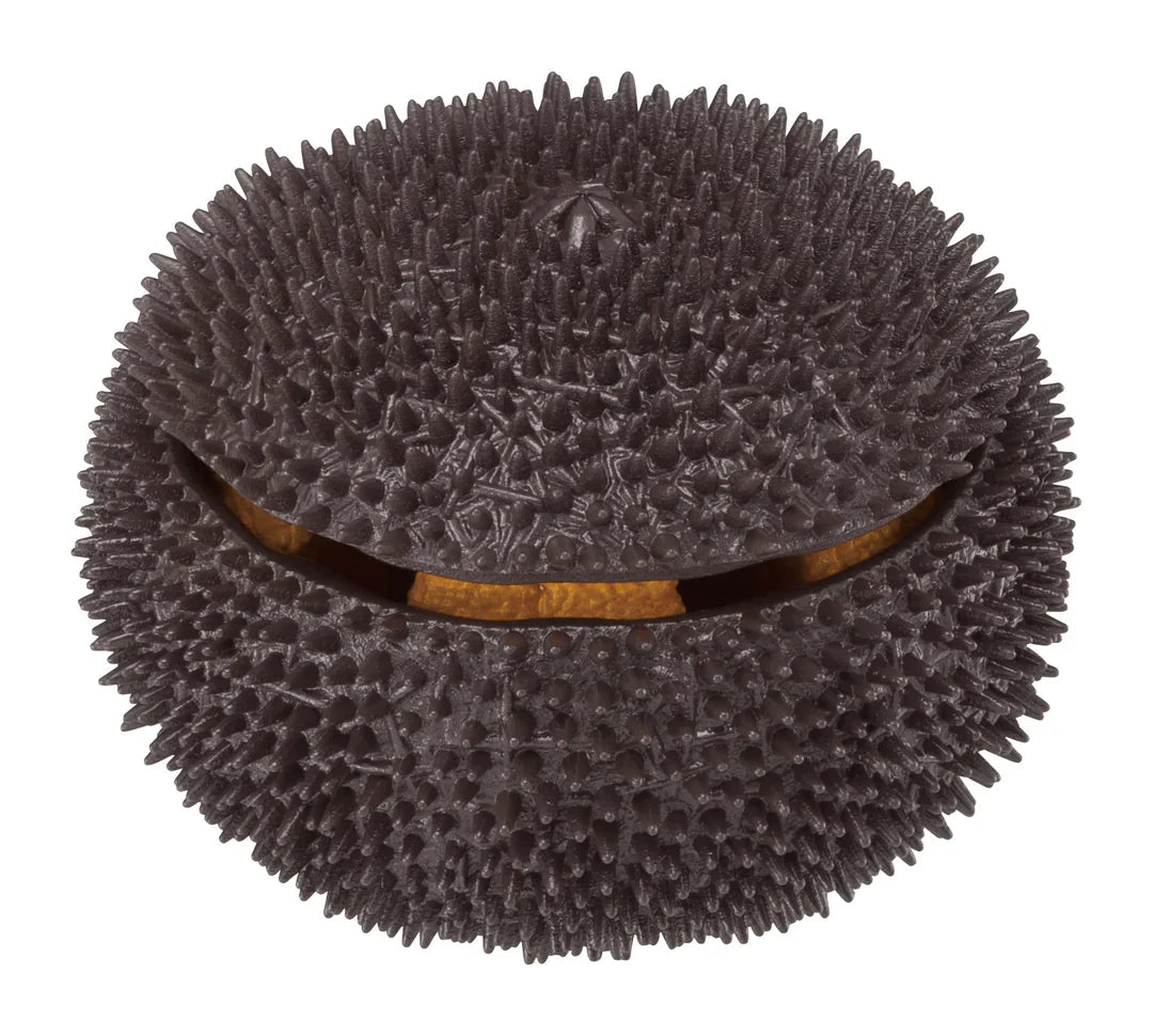 Sea Urchin Puzzle