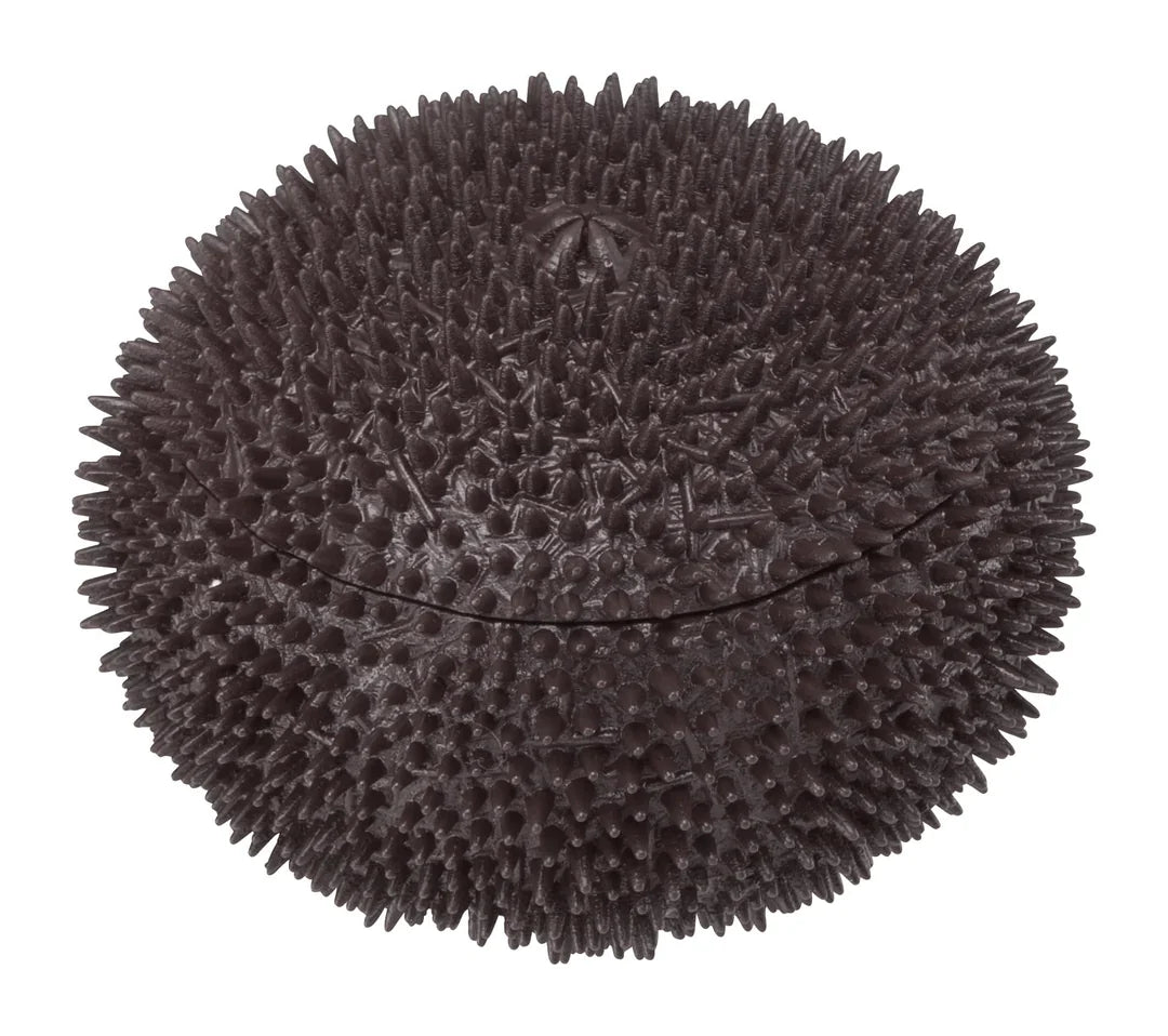 Sea Urchin Puzzle