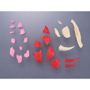 Kaitai Puzzle Fantasy Gomora [with Gift]