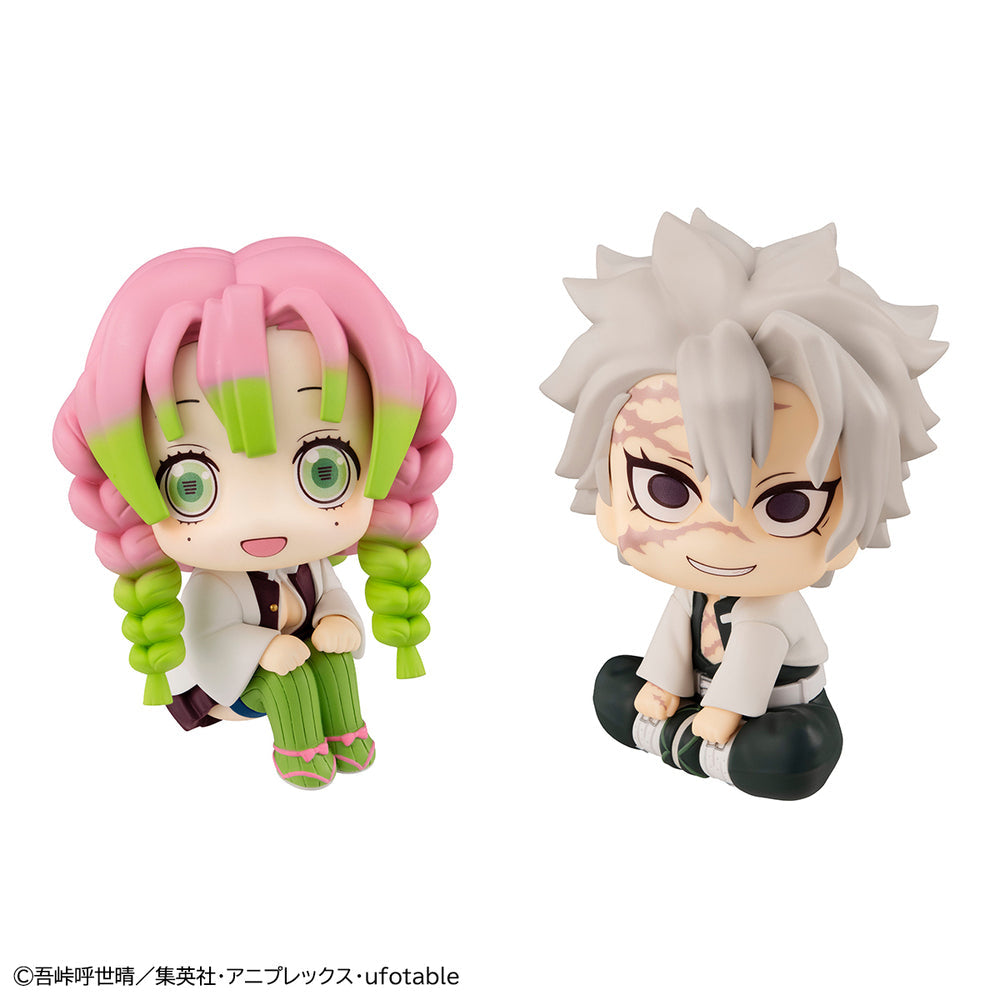 Lookup  Demon Slayer Kanroji Mitsuri and Shinazugawa Sanemi [with gift]