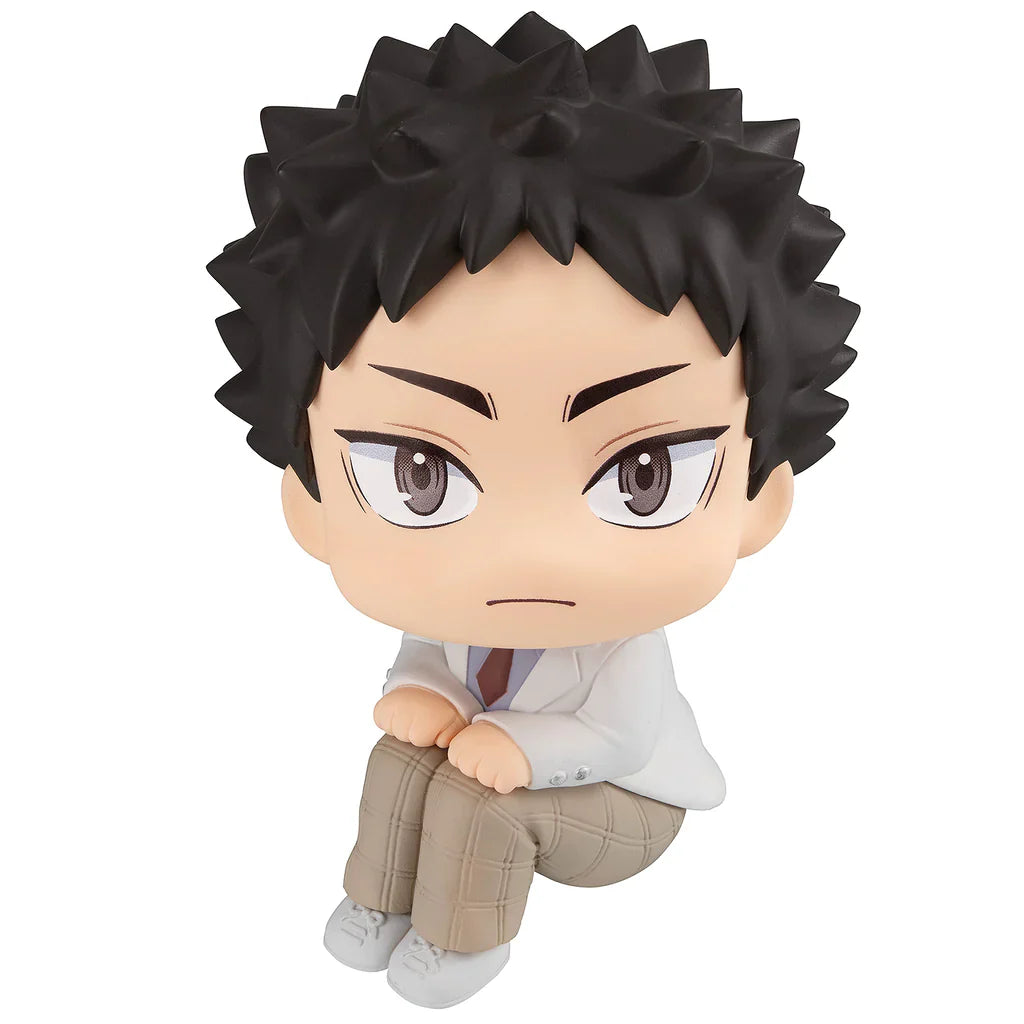 Lookup Haikyu!! Hajime Iwaizumi