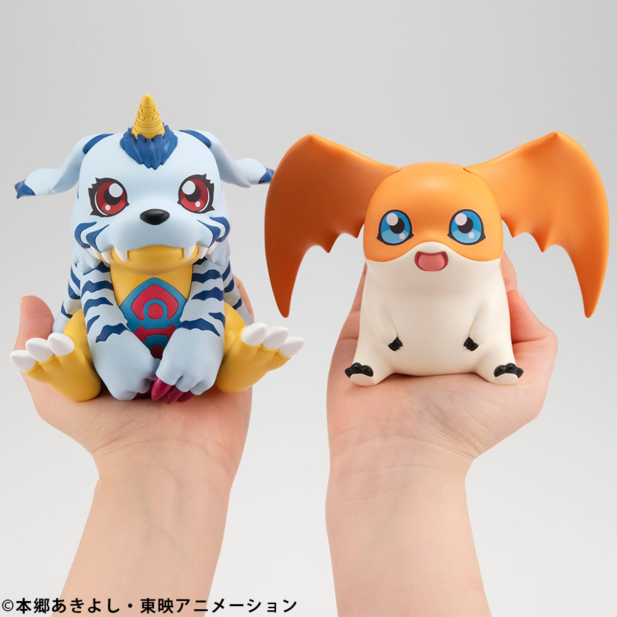 Lookup Digimon Adventure Gabumon & Patamon Set [With Gift]