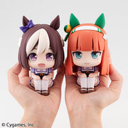 Lookup Uma Musume Pretty Derby Silence Suzuka