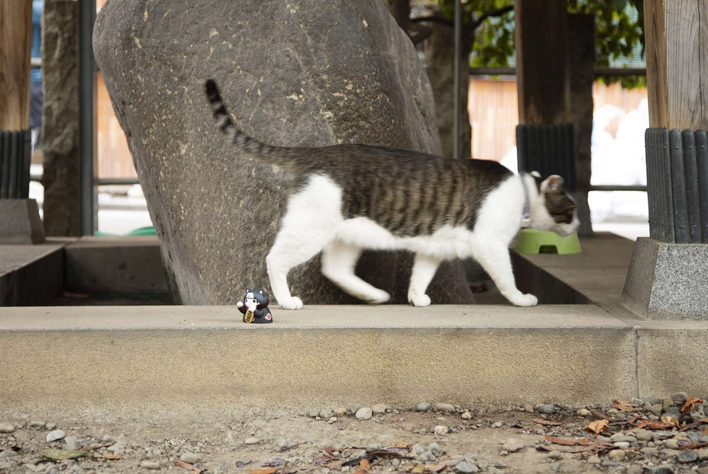 MEGA CAT PROJECT NARUTO-Nyaruto! Beckoning Cat FORTUNE