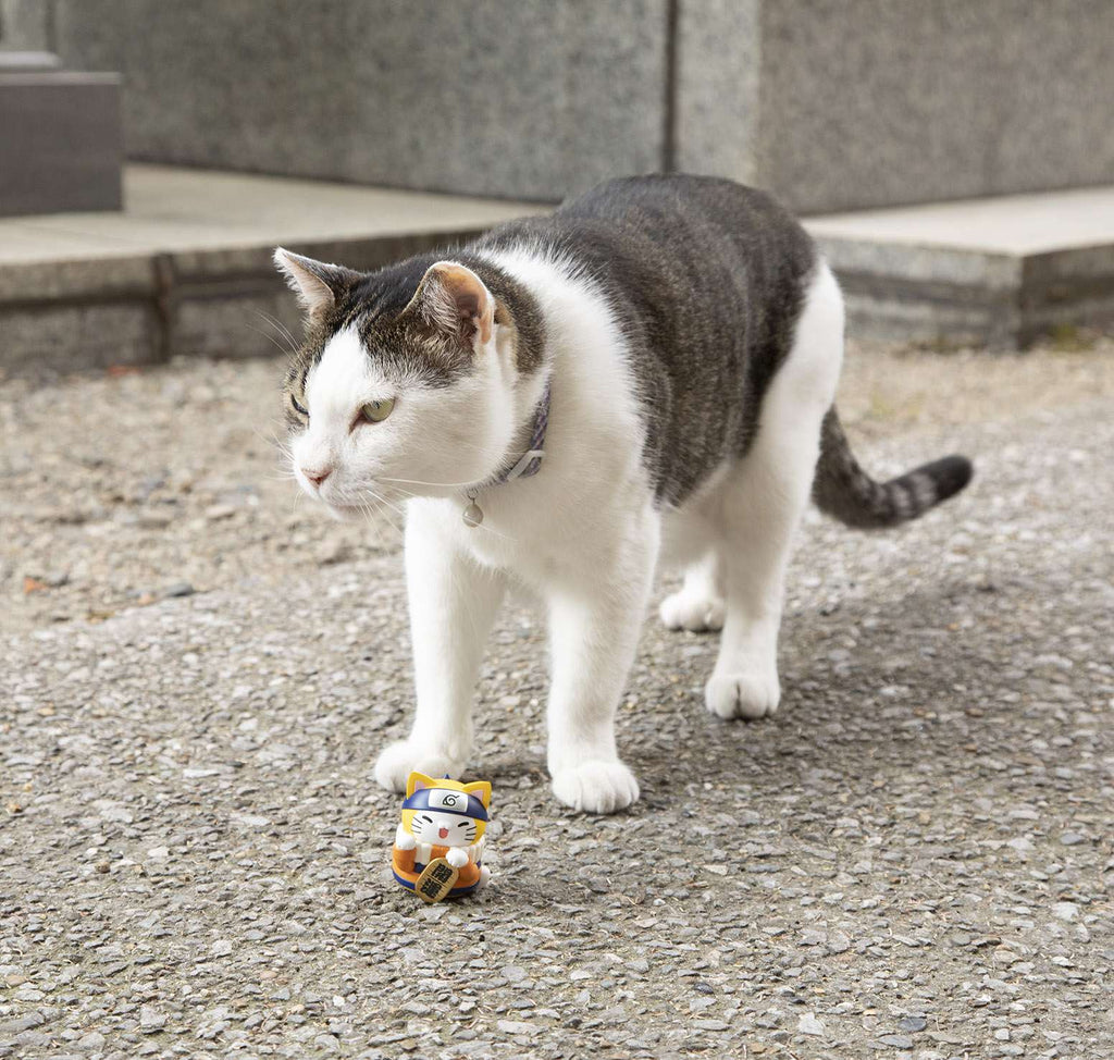 MEGA CAT PROJECT NARUTO-Nyaruto! Beckoning Cat FORTUNE