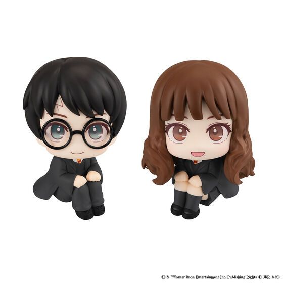 Lookup [Harry Potter] Harry Potter & Hermione Granger [with Gift]