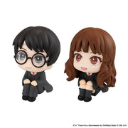 Lookup [Harry Potter] Harry Potter & Hermione Granger [with Gift]