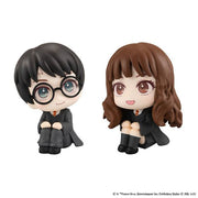 Lookup [Harry Potter] Harry Potter & Hermione Granger [with Gift]