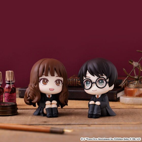 Lookup [Harry Potter] Harry Potter & Hermione Granger [With Gift]