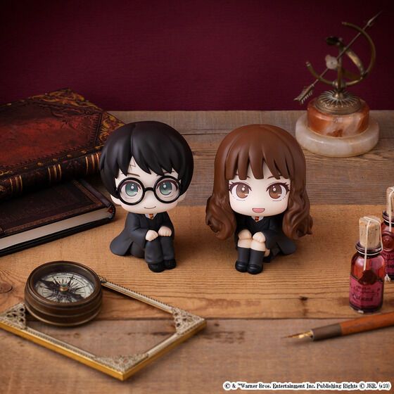 Lookup [Harry Potter] Harry Potter & Hermione Granger [With Gift]