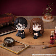 Lookup [Harry Potter] Harry Potter & Hermione Granger [with Gift]