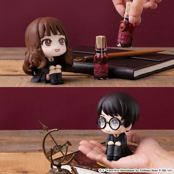 Lookup [Harry Potter] Harry Potter & Hermione Granger [With Gift]